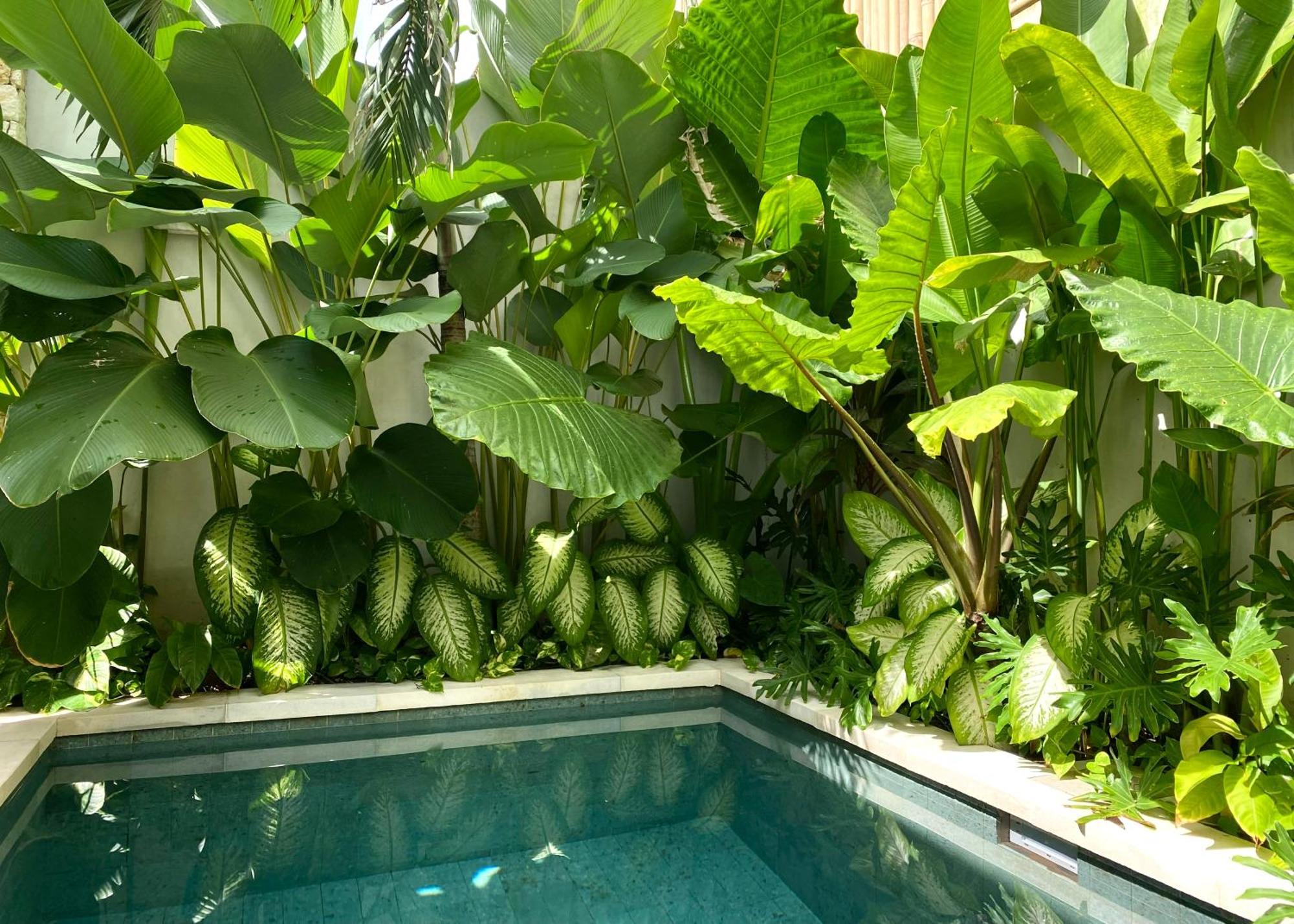 Alma Bingin Boutique Hotel Uluwatu Exteriér fotografie